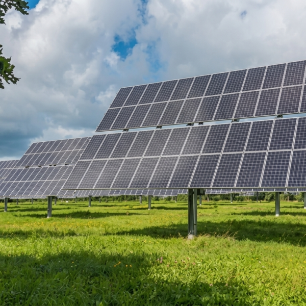 Solar Panel Price PM Surya Ghar Subsidy Not Received? Check Reasons